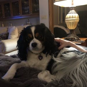 Meet your Posher, Nicole